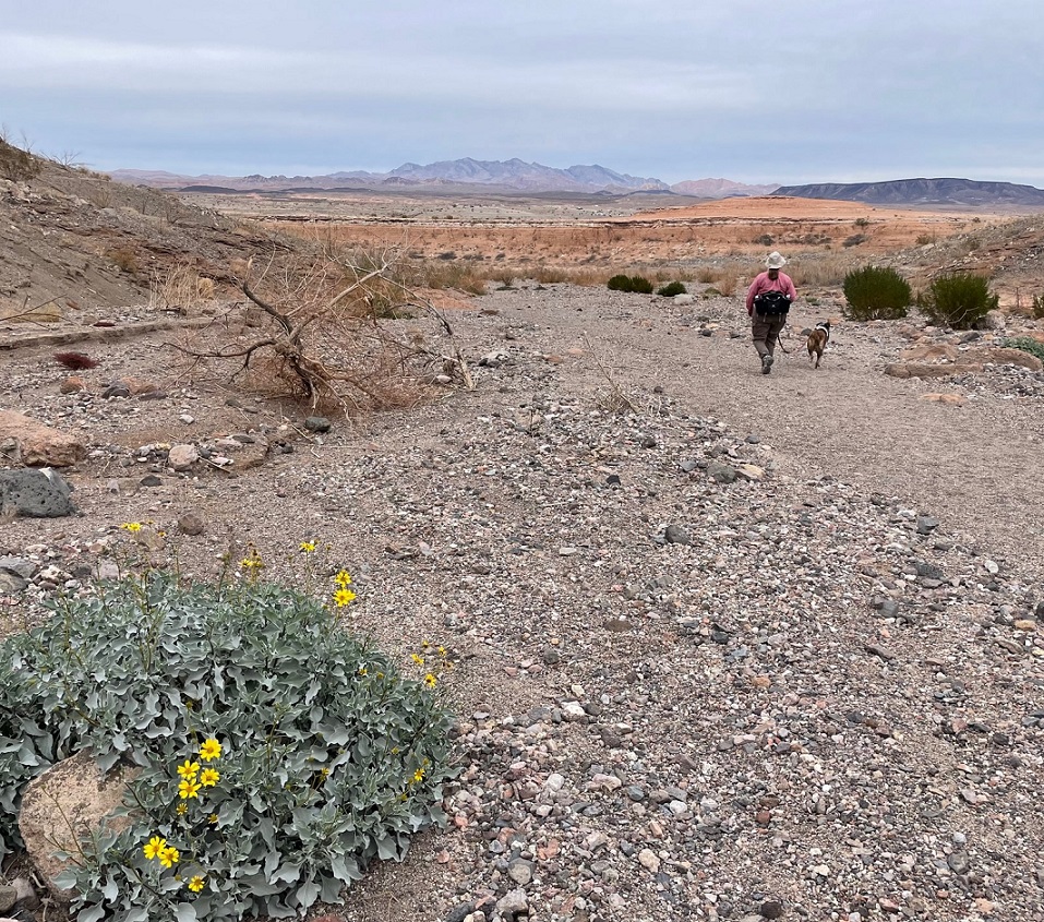 This image has an empty alt attribute; its file name is escape.jpg